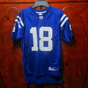 Peyton Manning #18 Reebok NFL Equipment On Field Jersey